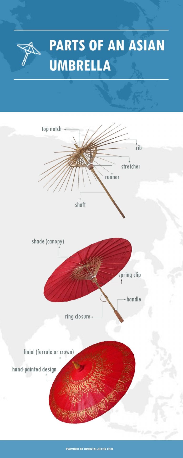 The Parts of an Asian Umbrella Infographic Apple Rinquest