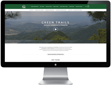 Helping the client address site issues, enhance the UI, remove unnecessary plugins and data, and improve SEO performance.